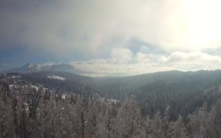 Bukovina - Panorama - 01-02-2026 12:04