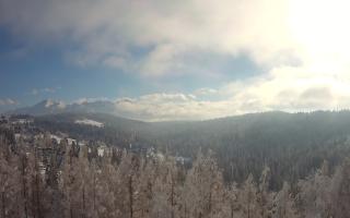 Bukovina - Panorama - 01-02-2026 12:11