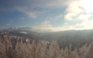 Bukovina - Panorama - 01-02-2026 12:18