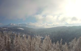 Bukovina - Panorama - 01-02-2026 12:39