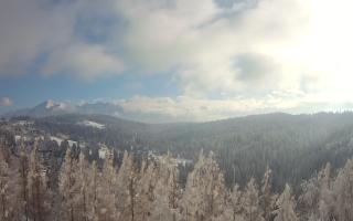 Bukovina - Panorama - 01-02-2026 12:47
