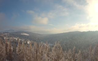 Bukovina - Panorama - 01-02-2026 13:29