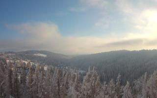 Bukovina - Panorama - 01-02-2026 13:43