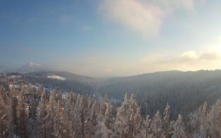 Bukovina - Panorama - 01-02-2026 13:57