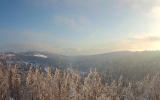 Bukovina - Panorama - 01-02-2026 14:11