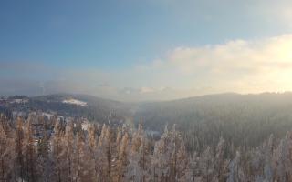 Bukovina - Panorama - 01-02-2026 14:18