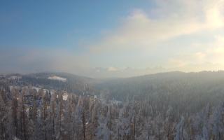 Bukovina - Panorama - 01-02-2026 14:25