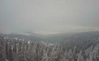 Bukovina - Panorama - 01-02-2026 14:46
