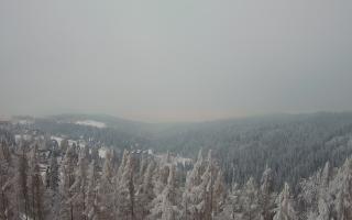 Bukovina - Panorama - 01-02-2026 15:00
