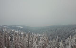 Bukovina - Panorama - 01-02-2026 15:07