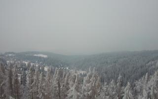 Bukovina - Panorama - 01-02-2026 15:14