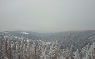 Bukovina - Panorama - 01-02-2026 15:21