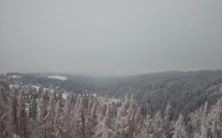 Bukovina - Panorama - 01-02-2026 15:42