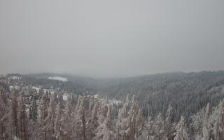 Bukovina - Panorama - 01-02-2026 15:50