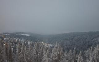 Bukovina - Panorama - 01-02-2026 15:57