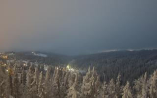 Bukovina - Panorama - 01-02-2026 16:11