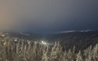 Bukovina - Panorama - 01-02-2026 16:18
