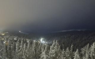 Bukovina - Panorama - 01-02-2026 16:25