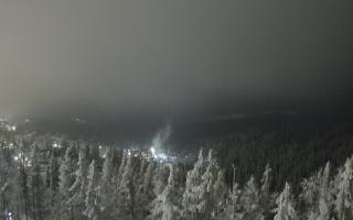 Bukovina - Panorama - 01-02-2026 16:39