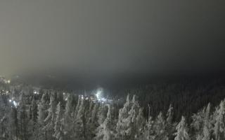 Bukovina - Panorama - 01-02-2026 16:53