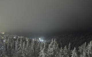 Bukovina - Panorama - 01-02-2026 17:07