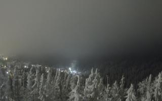 Bukovina - Panorama - 01-02-2026 17:21