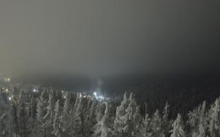 Bukovina - Panorama - 01-02-2026 17:35