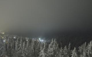 Bukovina - Panorama - 01-02-2026 18:17