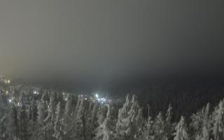 Bukovina - Panorama - 01-02-2026 18:24
