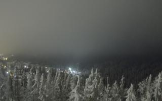 Bukovina - Panorama - 01-02-2026 18:31
