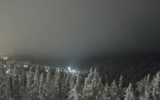 Bukovina - Panorama - 01-02-2026 18:45