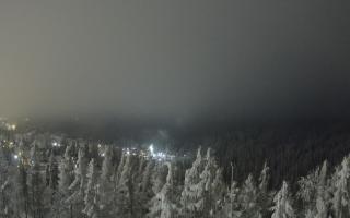 Bukovina - Panorama - 01-02-2026 18:52