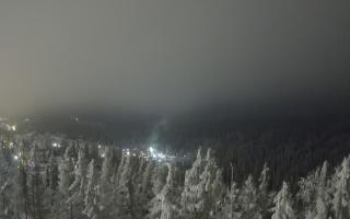 Bukovina - Panorama - 01-02-2026 19:00