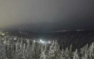 Bukovina - Panorama - 01-02-2026 19:21