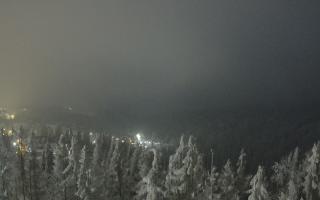 Bukovina - Panorama - 01-02-2026 22:45
