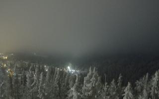 Bukovina - Panorama - 01-02-2026 23:20