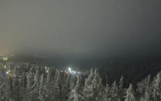 Bukovina - Panorama - 01-02-2026 23:41