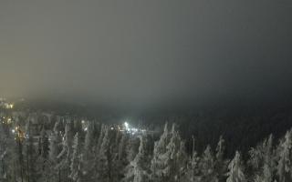 Bukovina - Panorama - 01-02-2026 23:48