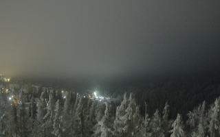 Bukovina - Panorama - 01-02-2026 23:55