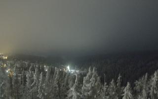 Bukovina - Panorama - 02-02-2026 00:02