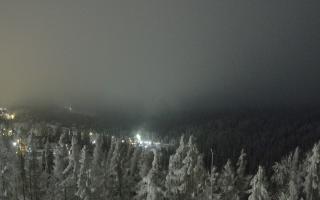 Bukovina - Panorama - 02-02-2026 00:23