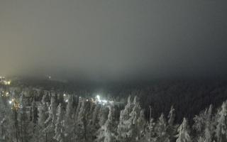 Bukovina - Panorama - 02-02-2026 00:30