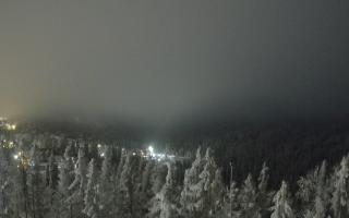 Bukovina - Panorama - 02-02-2026 00:44