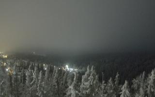 Bukovina - Panorama - 02-02-2026 00:58