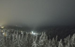 Bukovina - Panorama - 02-02-2026 01:13
