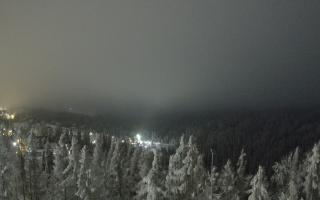 Bukovina - Panorama - 02-02-2026 01:20