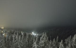 Bukovina - Panorama - 02-02-2026 01:34