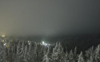Bukovina - Panorama - 02-02-2026 01:41