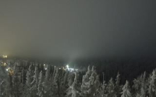 Bukovina - Panorama - 02-02-2026 01:55