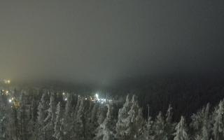 Bukovina - Panorama - 02-02-2026 02:16